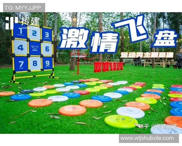 飞盘盛宴：深入南京飞盘队的速度与激情之旅